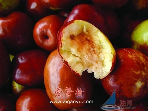 青枣泡澡 红了枣子黑了人心