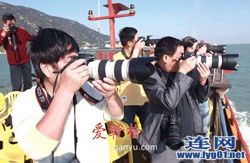 全省摄影家港口采风