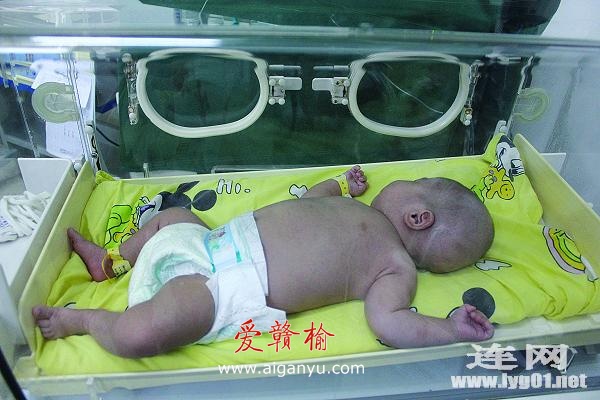 婴儿超期住院一个月 家长玩“失踪”