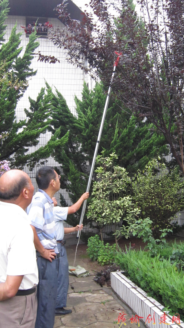 【图】欢墩镇四项措施积极防控美国白蛾