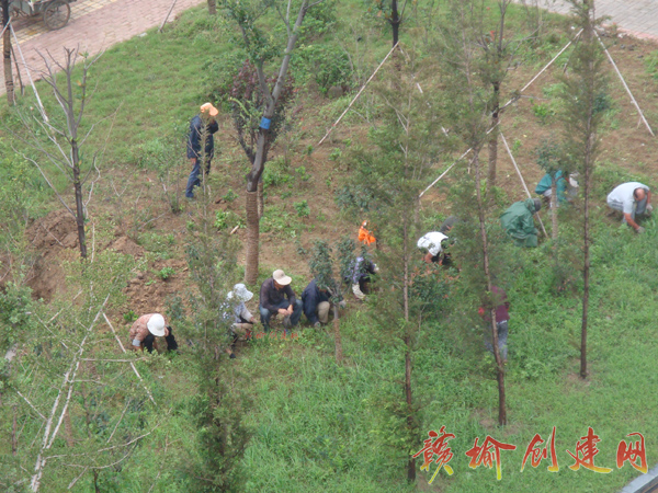 【图】赣榆县4亿元打造滨海绿色家园