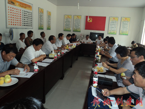 【图】县领导对石桥镇农村环境综合整治进行调研