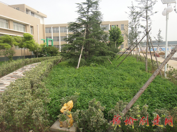 【图】做好庭院绿化工作   创造优美办公环境