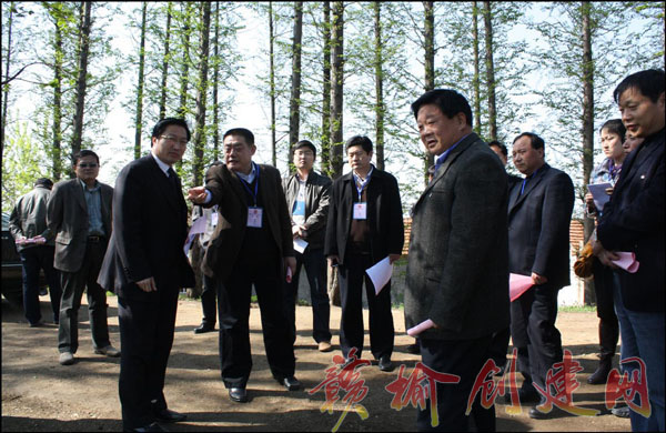 【图】人大代表视察创建工作现场