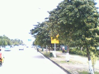 违规停车拖车及罚款应有醒目标志作为前提