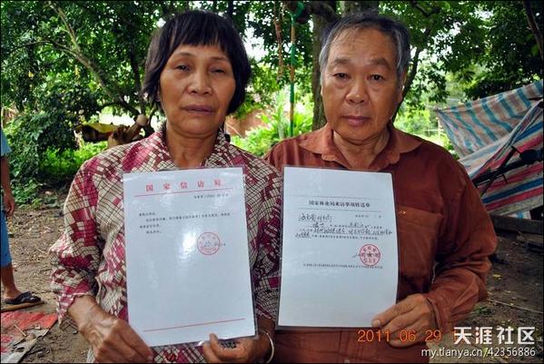 毁伐生产经济作物几万枝找那个部门解决