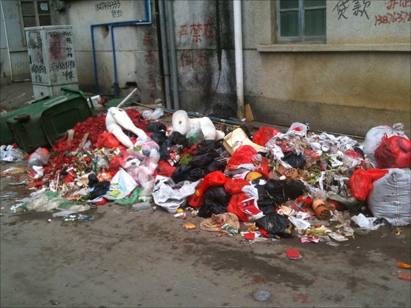 万宁：垃圾随地丢在大马路严重影响居民生活