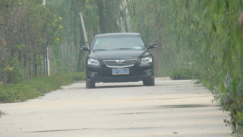 茌平惊现40栋豪华别墅 有图有真相