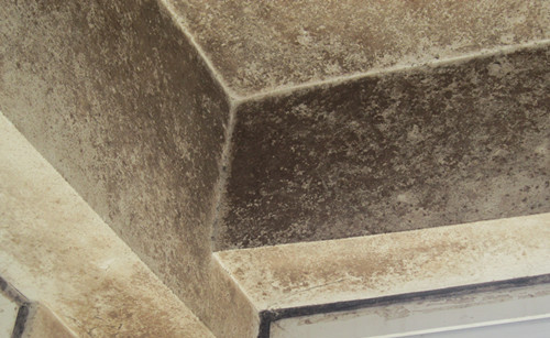 天业翠苑小区出现室内发霉墙皮脱落现象