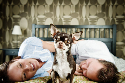 两性兵法：做爱时不能缺少的3种声音(多图)