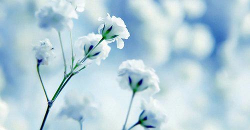 蓝颜知己，只是乌托邦