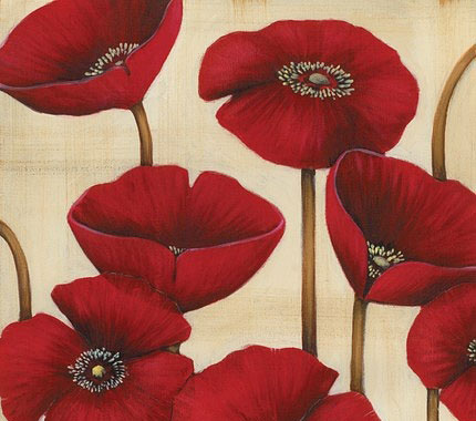 张小娴：这就是爱情，希望你不要介意！