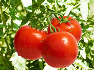 饥肠辘辘的时候，这十种食品请勿吃