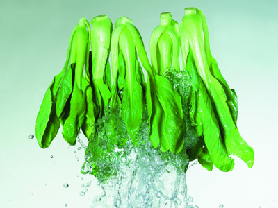 蔬菜的哪个部分最有营养