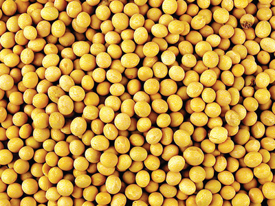 有损男人性能力的食物大曝光