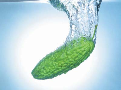 九种养心苦菜的食用方法