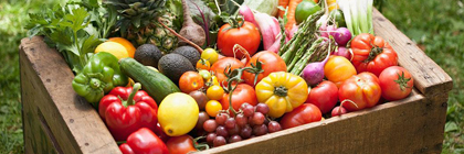 蔬菜饮食误区让营养变杀手