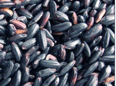 食用黑米有助抗过敏