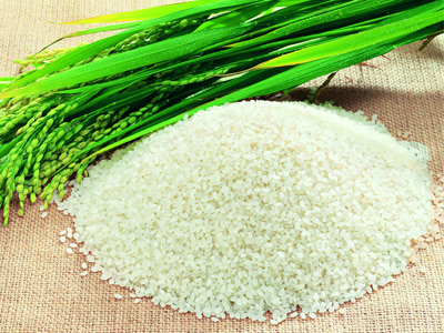 6款主食的热量值