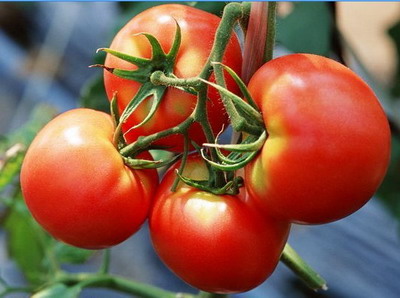 十个错误吃法让你没营养