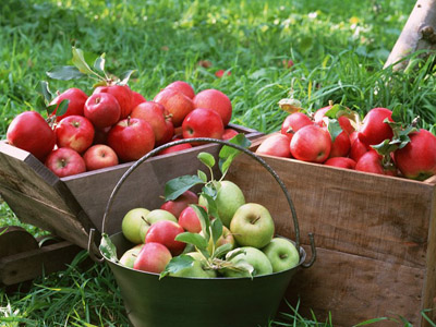苹果好还是橘子好？同族食物营养大比拼