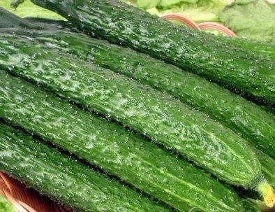 黄瓜营养价值高！告诉你日常吃黄瓜的