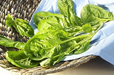 蔬菜吃多了也是错？