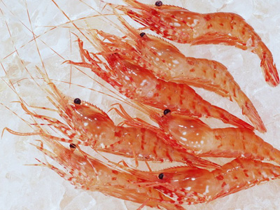 热荐：我们不常吃，却十分有益健康的6种好食物！