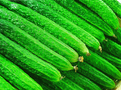 黄瓜会破坏其他食物营养