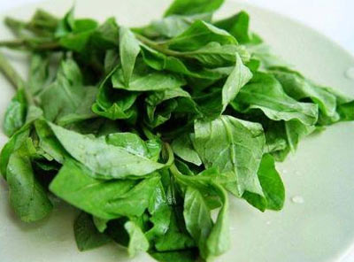 哪些蔬菜凉拌吃会导致中毒