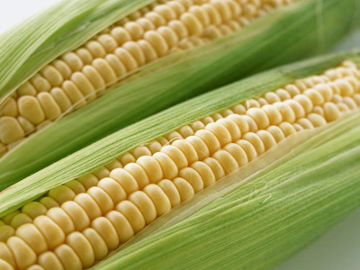 玉米可预防心脏病和癌症
