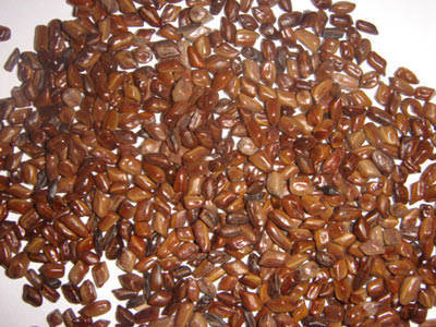 八种食物，最适合女性滋补身体！