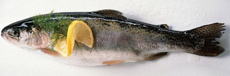 如何吃鱼？8条秘籍，让你吃出鱼的真营养！