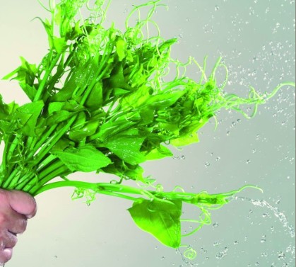 有些食物“青春亮丽”会害人