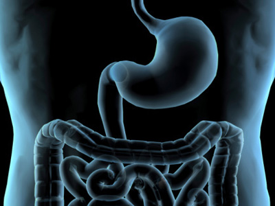 生活太紧张肠道闹脾气