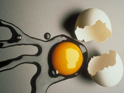 揭秘这些男女通用的助性食物