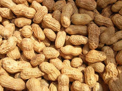 盘点容易引发八大癌症的饮食习惯