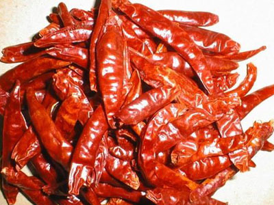 辣椒可以改良人类基因？