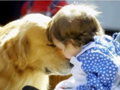 抚摸，会有哪些特殊功效？