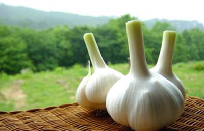 哪些食物越臭，就越治女人病？