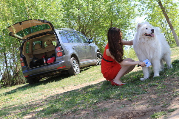 夏季宠物出游的推荐去处