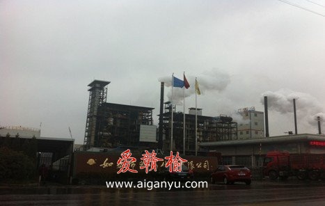 如皋双马化工污染包围村庄 村民不敢开门窗