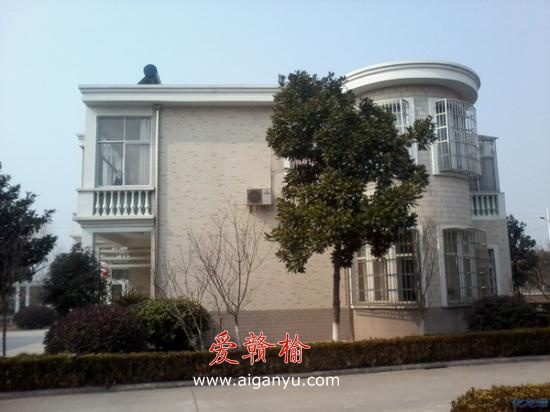 常州武进农民实名举报殷村村委非法卖别墅