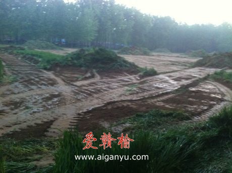 反映睢宁桃岚化工园领导违法征地遭威胁