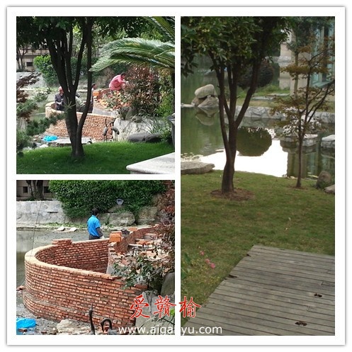 外籍家庭实名举报无锡新区违建遭威胁