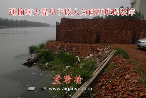 反映通榆河大堤阜宁段遭人为破坏水利局不作为