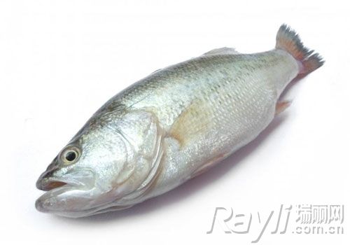 中医推荐 四种减肥食疗方(多图)