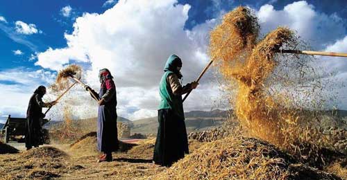 一个人可以很好的生存着，但却不一定是很好的生活着
