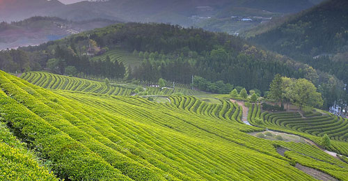 慈母与荡妇：新时代女性偶像的黄昏