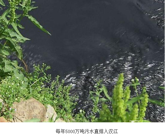 十堰南水北调“祸水”入京   谁之罪？